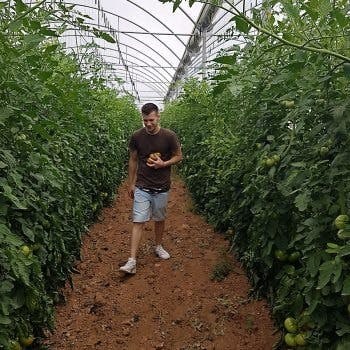 Pedro Aljaro, cofundador y director operativo de Finca Quixote, en un invernadero