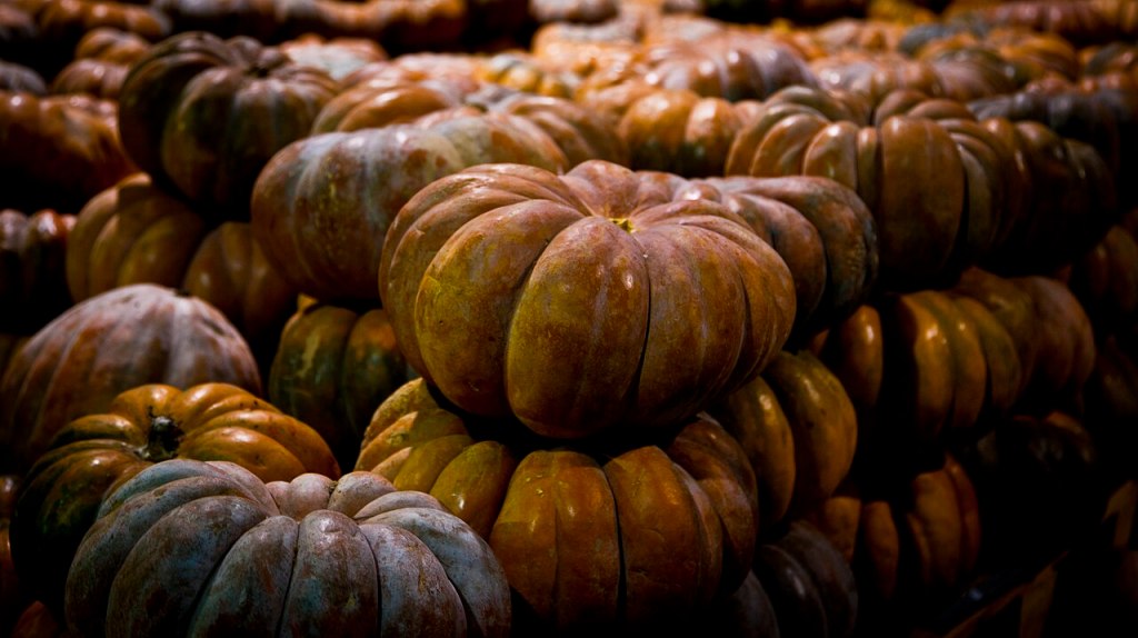 Calabazas almacenadas en pilas en un almacén fresco y seco