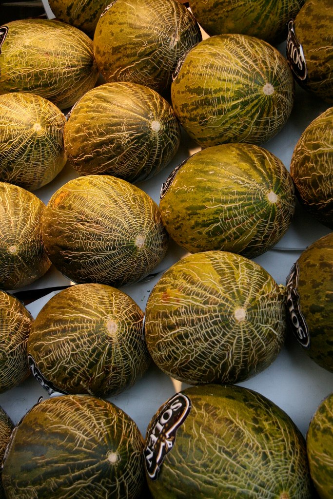 Melones piel de sapo